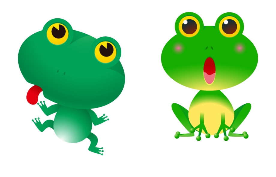 Tree Frogs Clipart Royalty Red Eyed Tree Frogs