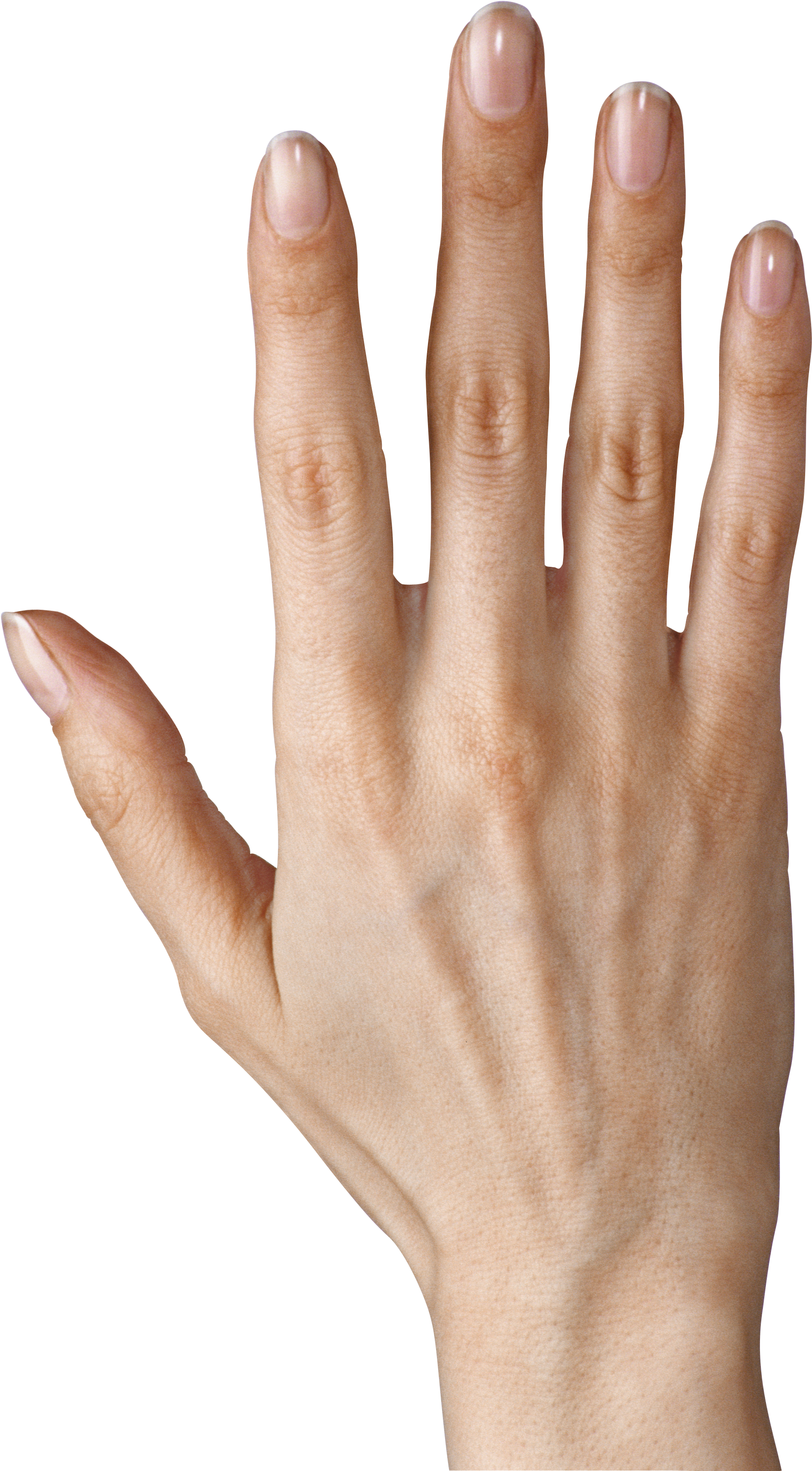 Hand Showing Five Png Girl Fingers Png