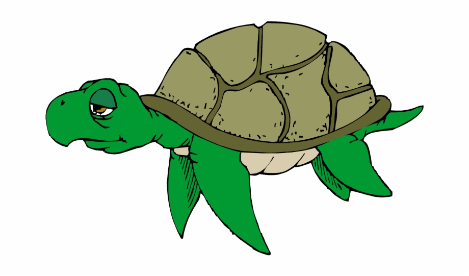Free Turtle Clipart Turtle Clip Art
