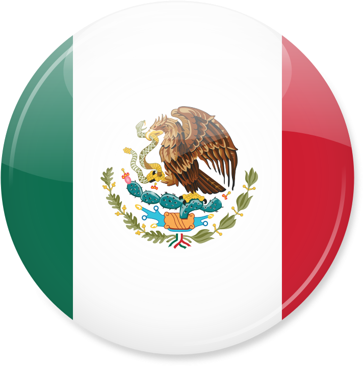 Mexico Flag Icon Mexico Flag Icon Png