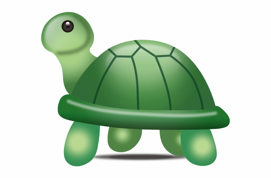 Turtle Emoji Png