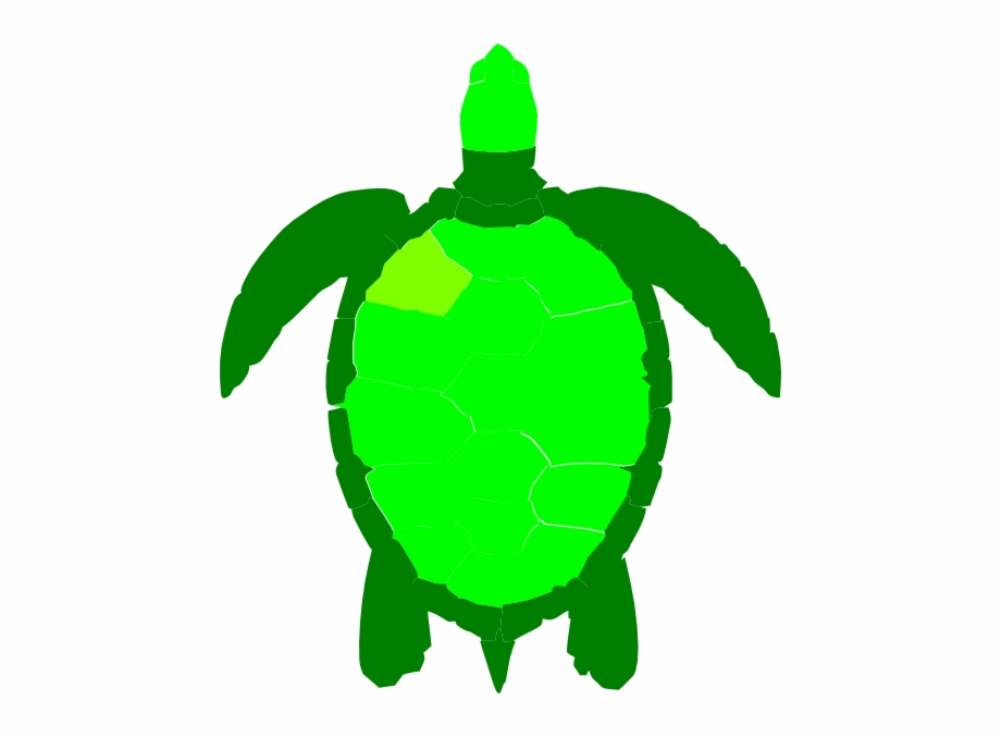 Green Sea Turtle Clipart