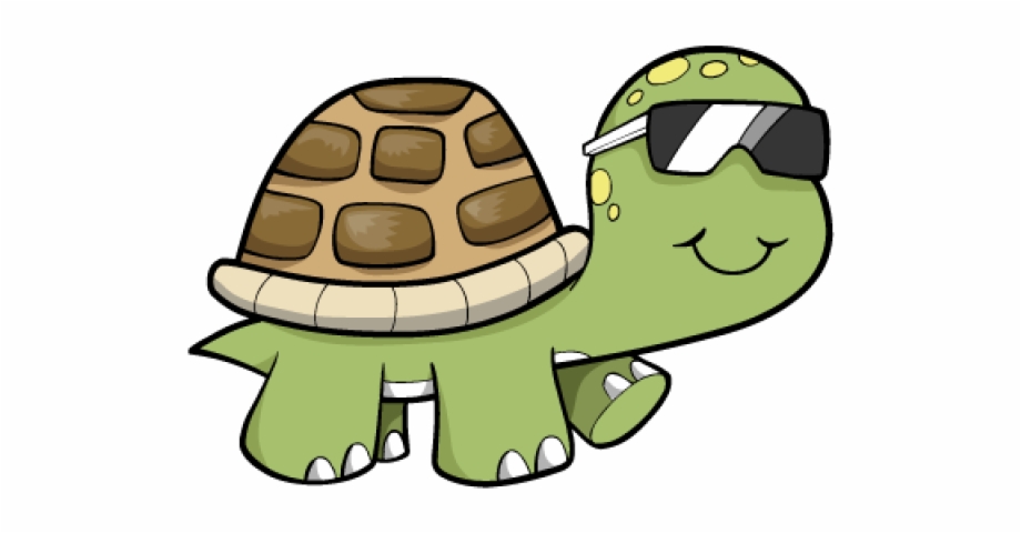Cool Turtle