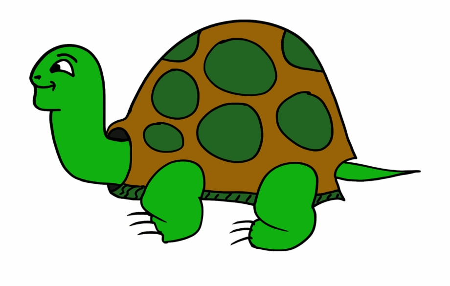 Animal Cartoon Elements Turtle Png Image Gambar Kura