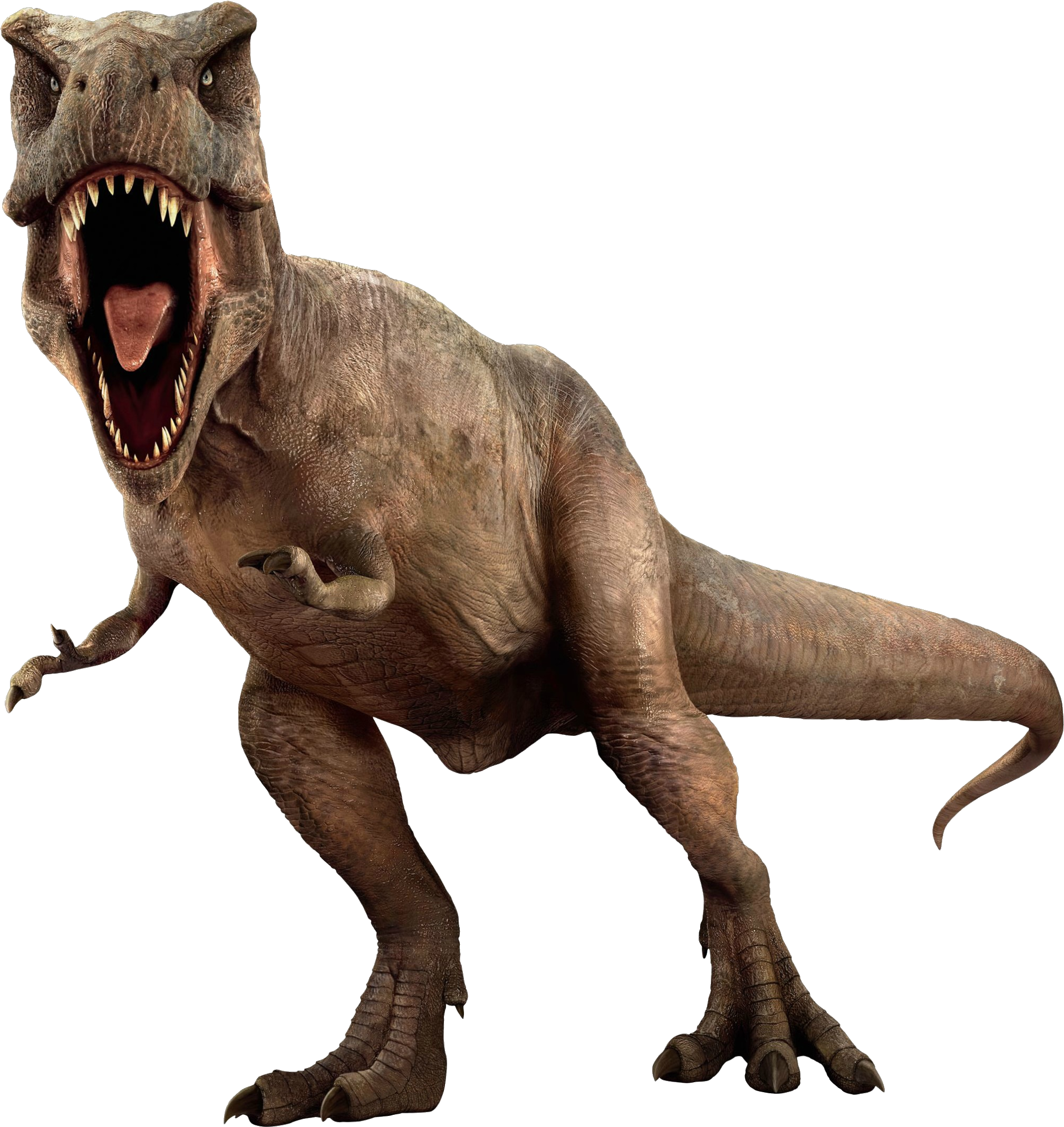 Dinosaur Jurassic Park Dinosaurs Png Clip Art Library Images And Photos Finder 