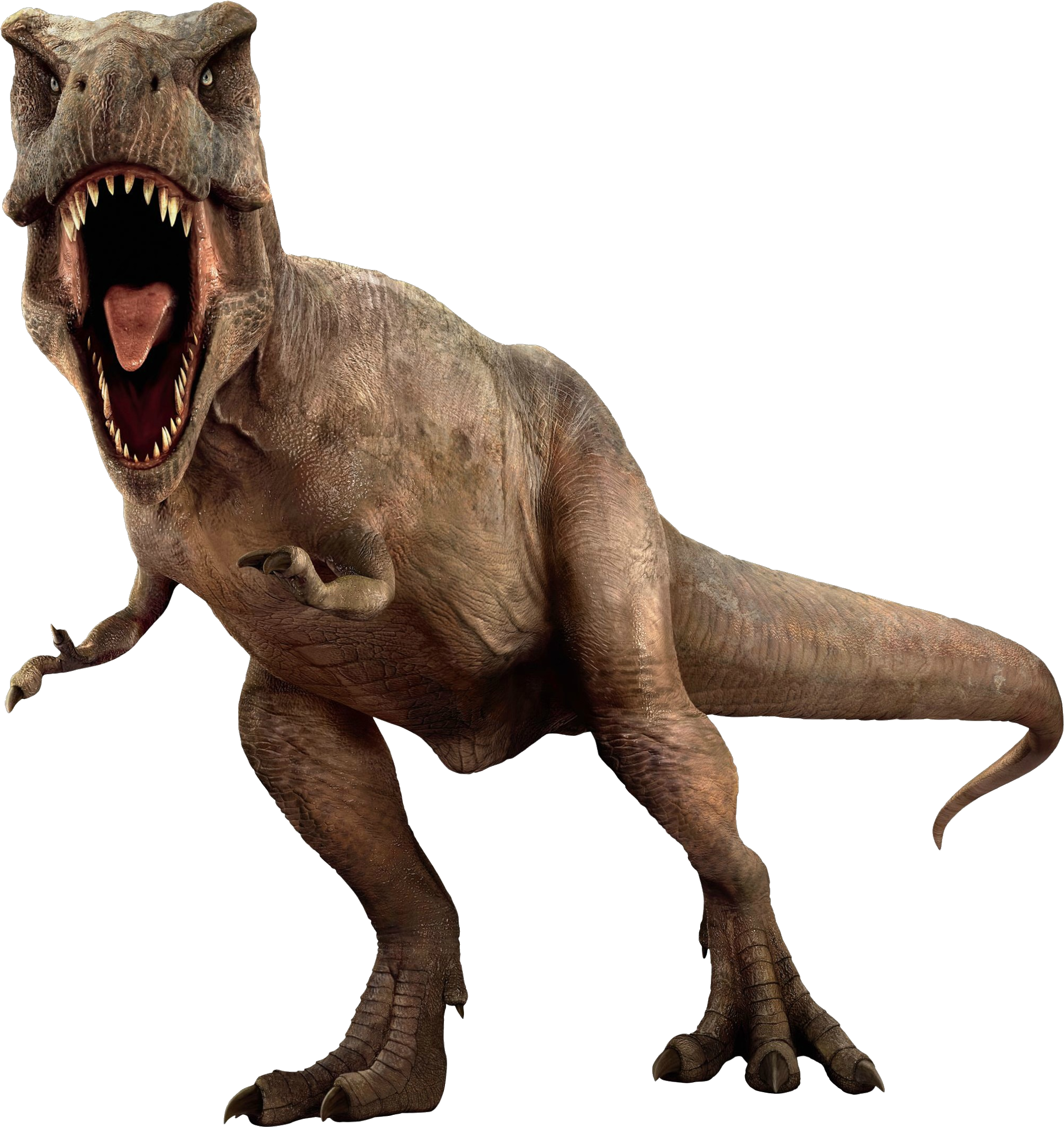 Dinosaur Jurassic Park Dinosaurs Png Clip Art Library