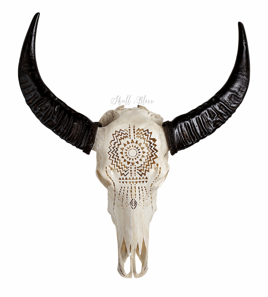 Buffalo Horn Png