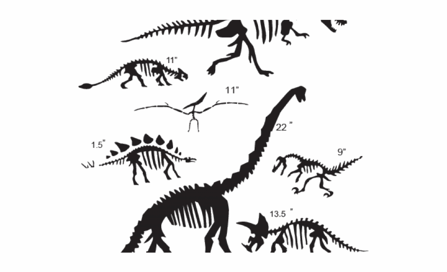 Drawn Dinosaur Fossil Dinosaur Fossils Clipart Black And
