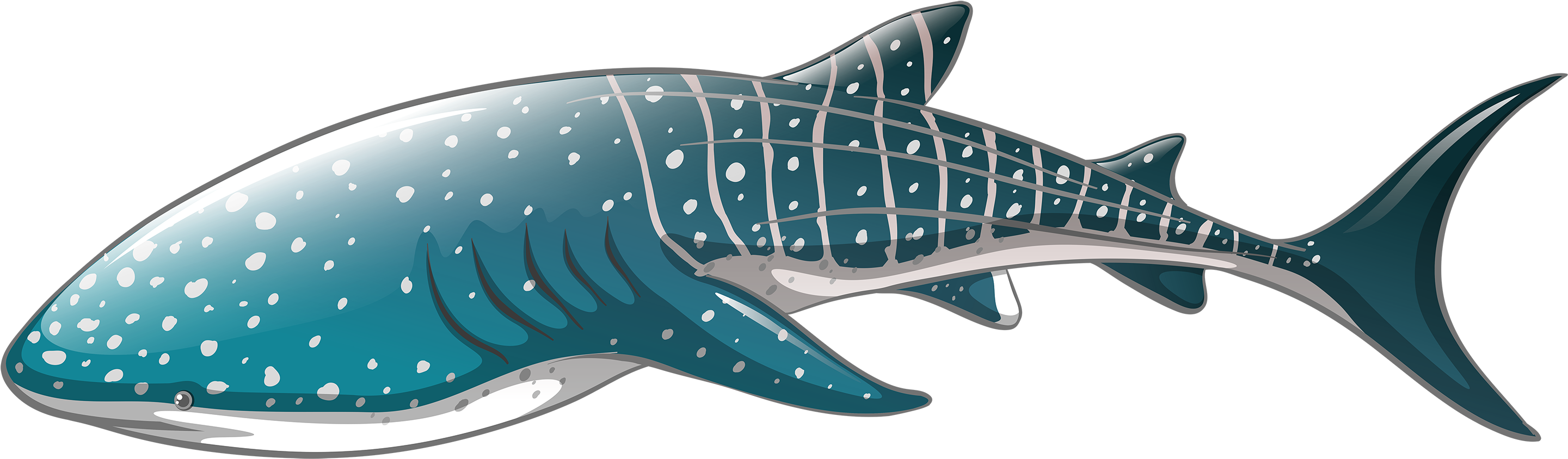 Whale Shark Png Clipart Whale Shark Icon Png