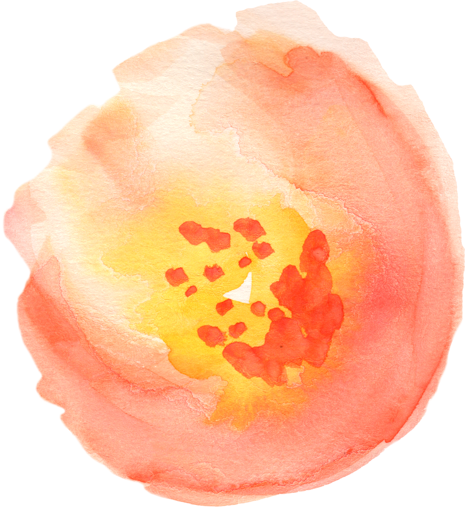 Svg Transparent Download Free Fall Floral Clip Art