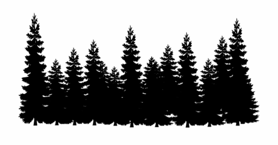 pine trees silhouette png
