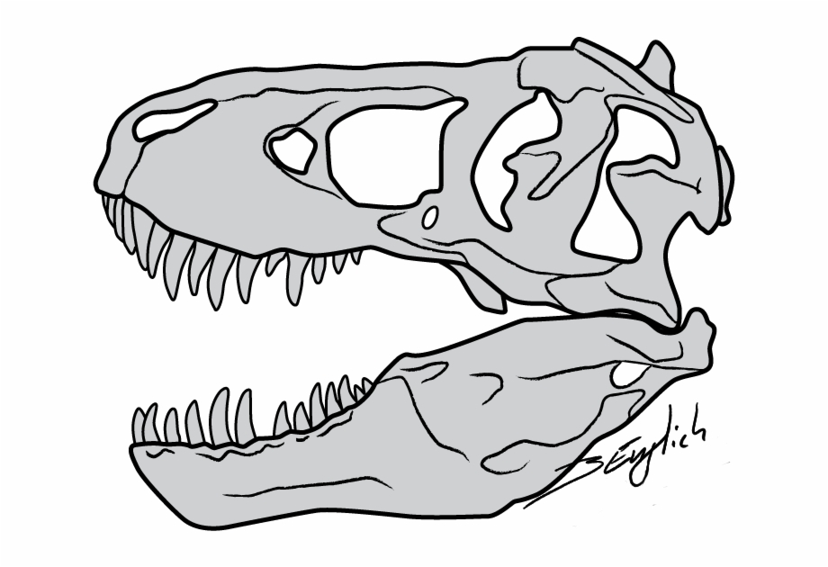 Clip Black And White Clipart Face T Rex