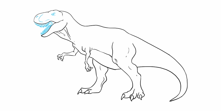 How To Draw Tyrannosaurus Rex Tyrannosaurus Rex Drawing