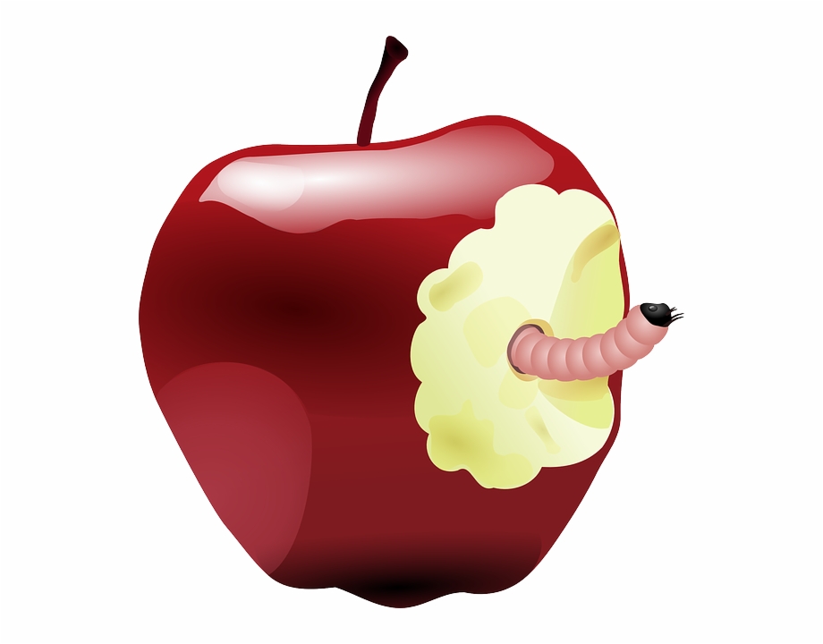 Apple Fruit Clipart Teacher Quote Apple With Worm