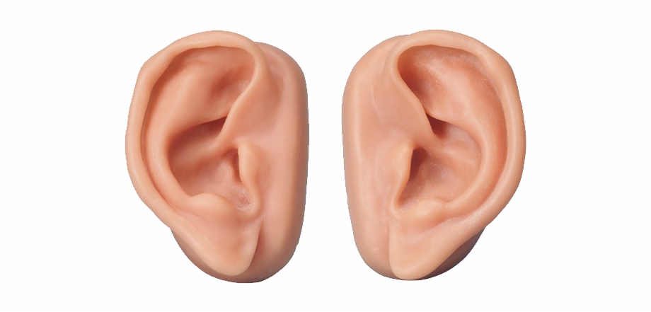 Ear Png Ear Models