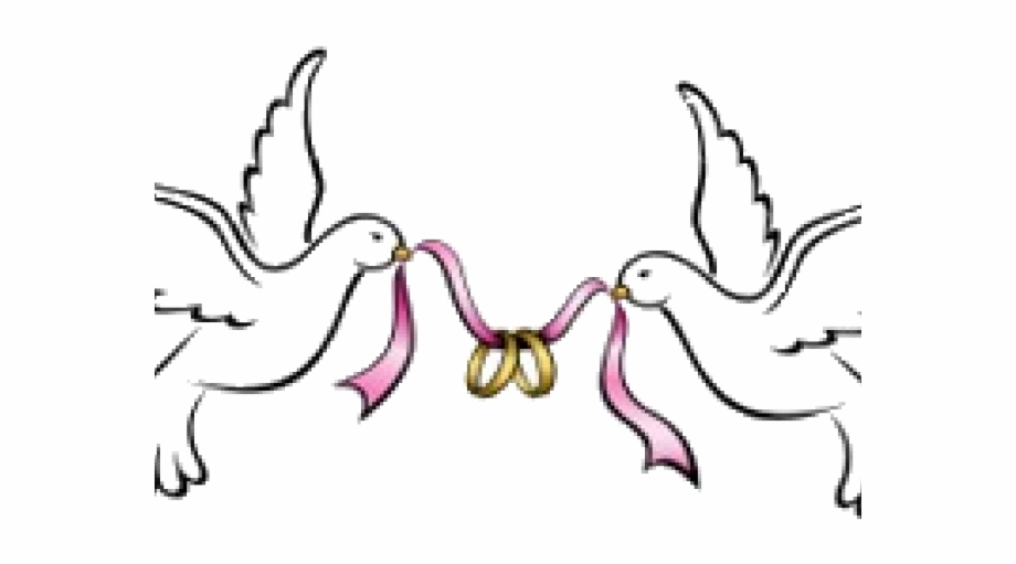 wedding doves png
