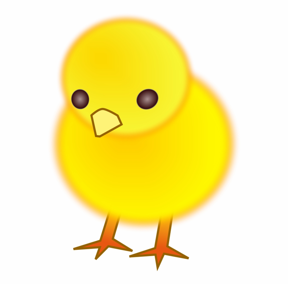 clipart chick
