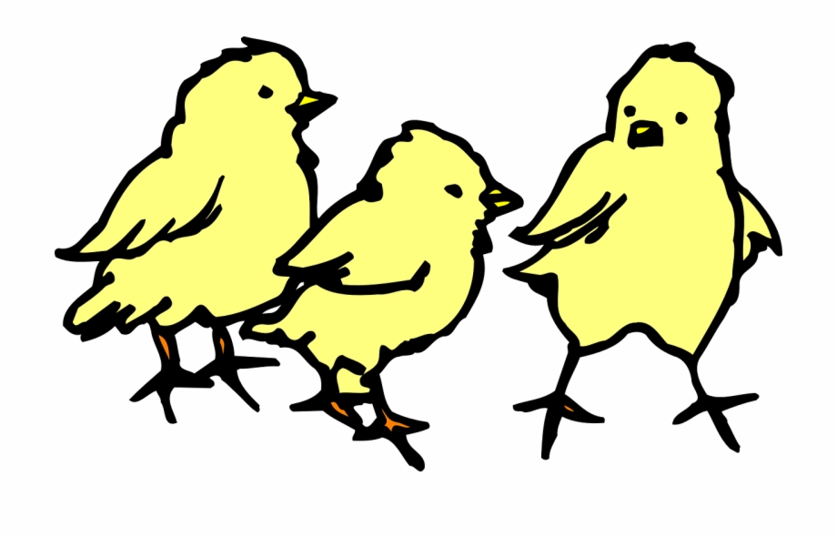 clipart of chicks
