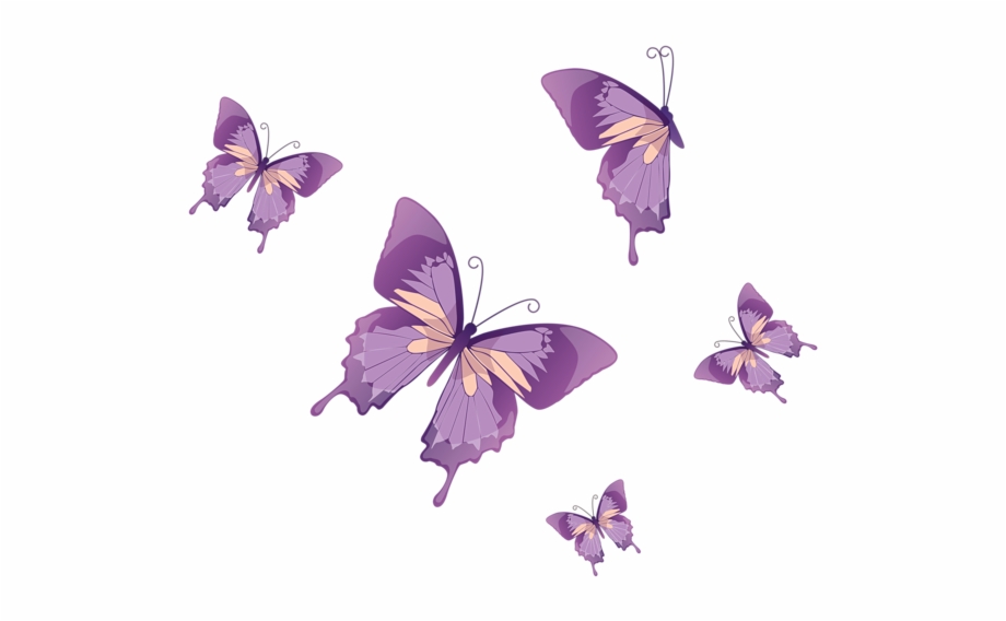 Butterflies Png Clipart Butterfly Vector Design Png