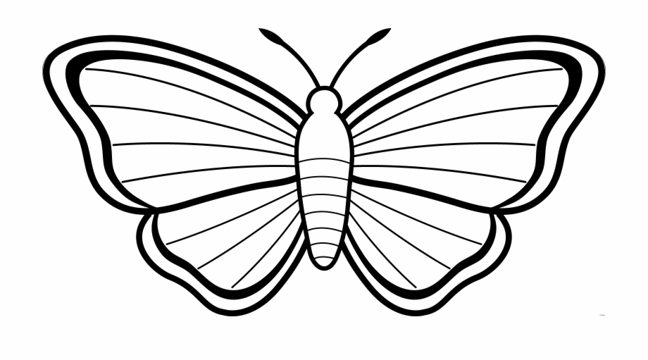 Clipart Butterfly Outline Free Images 3 Clip Art