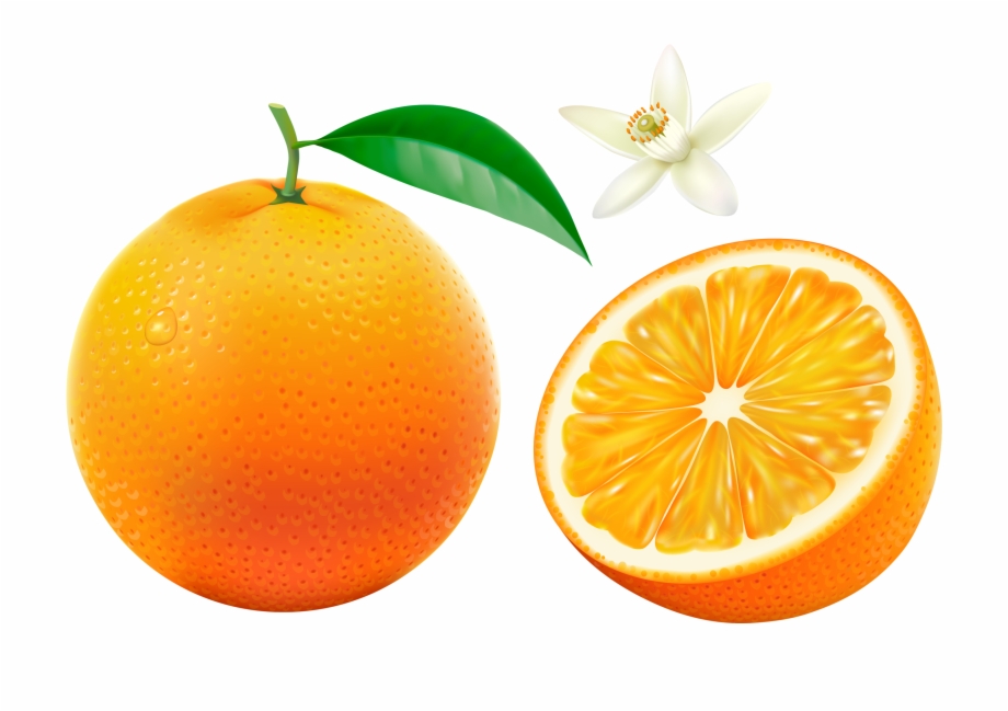  Orange Bowl Orange Fruit Fruits And Vegetables