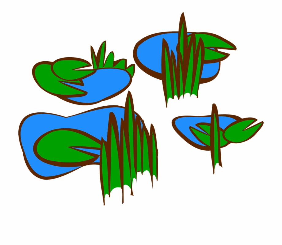 Lily Pads Swamp Marsh Marsh Clip Art