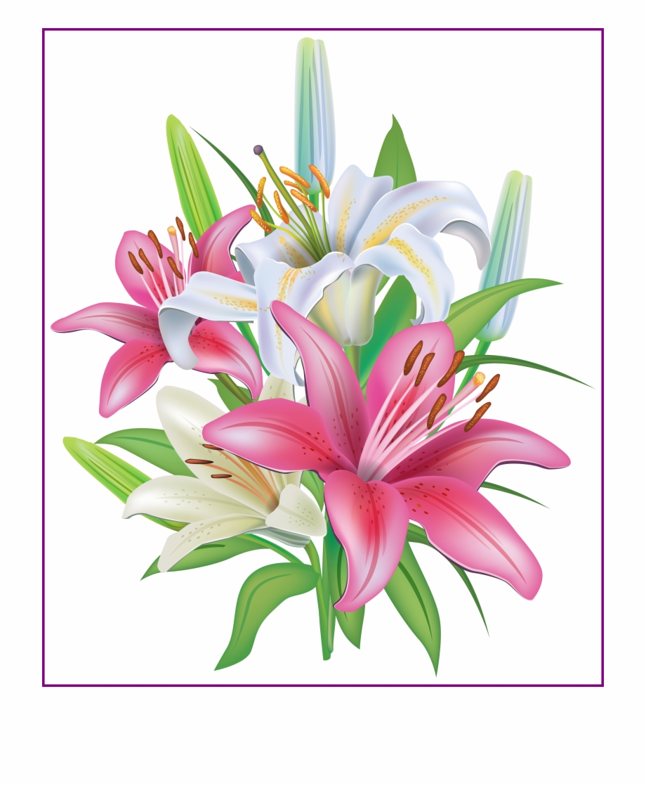 Clip Art Transparent Stunning Pink Lilies Flores And