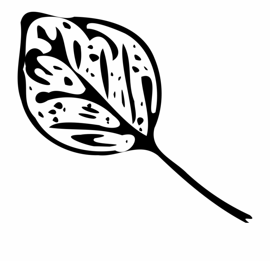 clipart leaf black and white design
