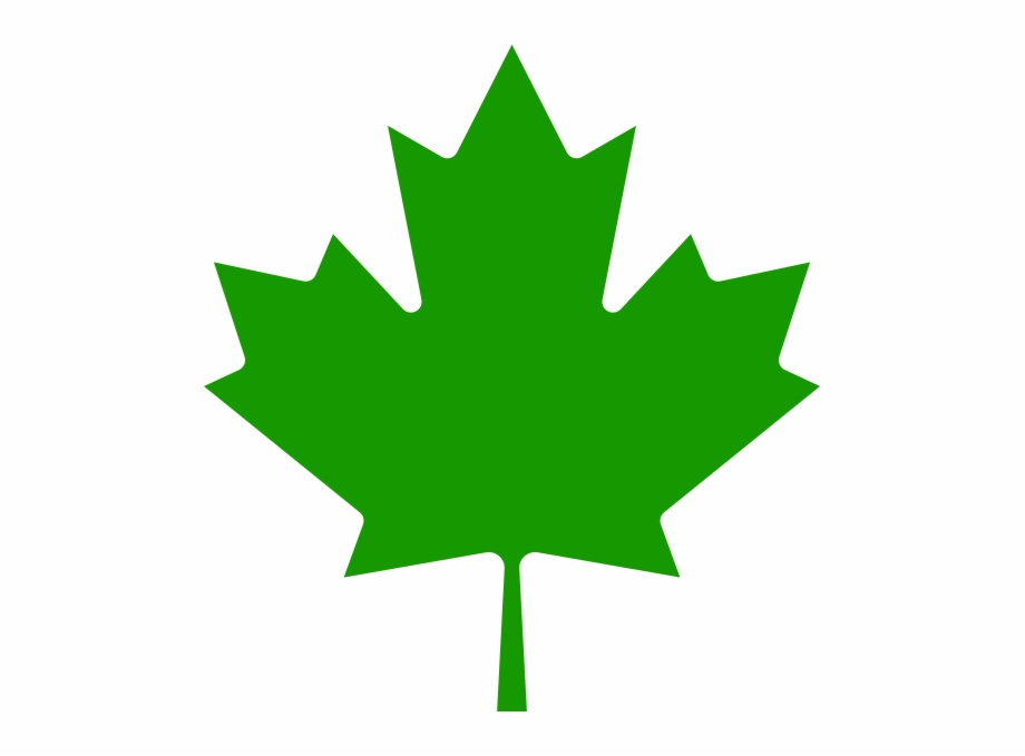 Aaevp Leaf Canada Maple Leaf Green