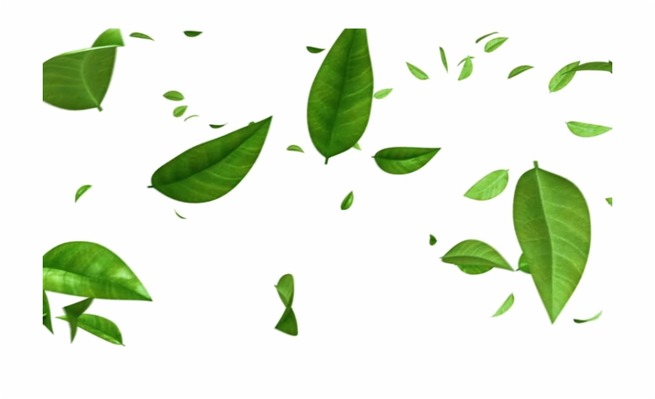 Green Leaf Png Photos Falling Green Leaves Png