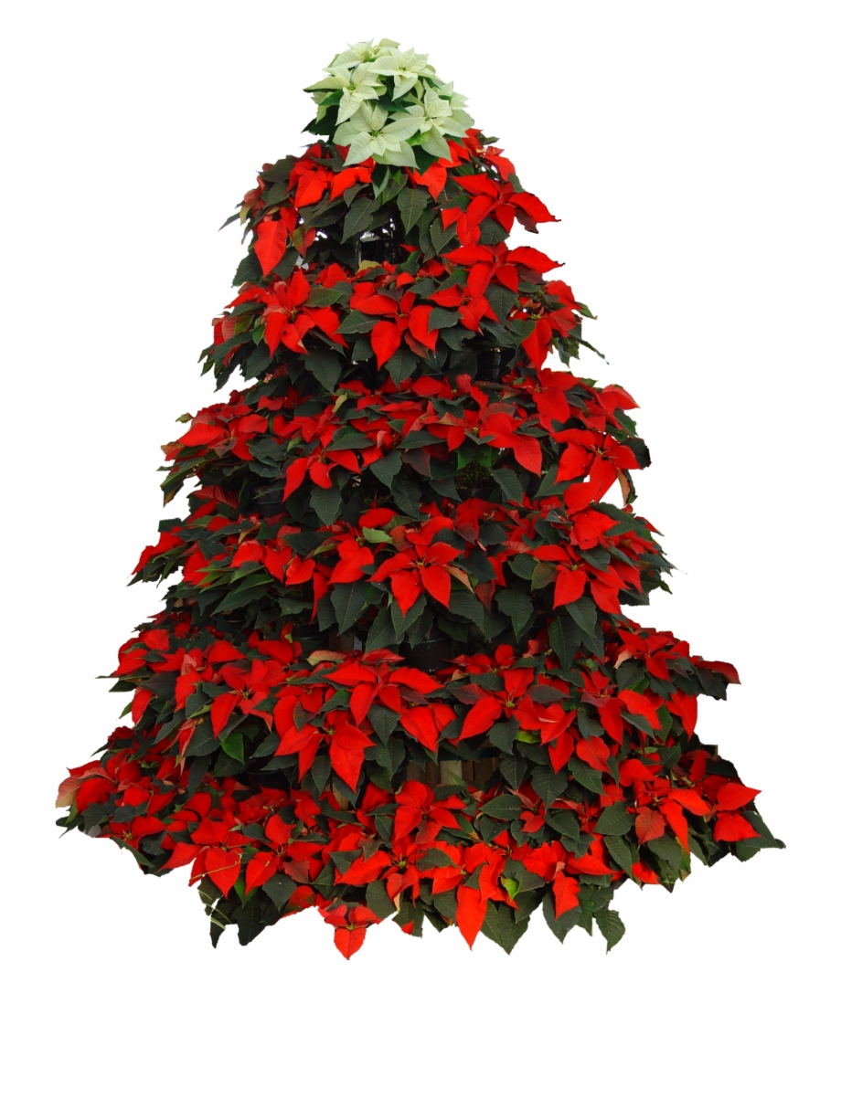 Poinsettia Clip Christmas Tree Christmas Tree
