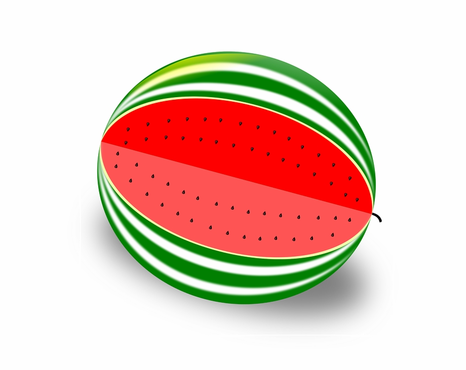 Cantaloupe Clipart Transparent Watermelon