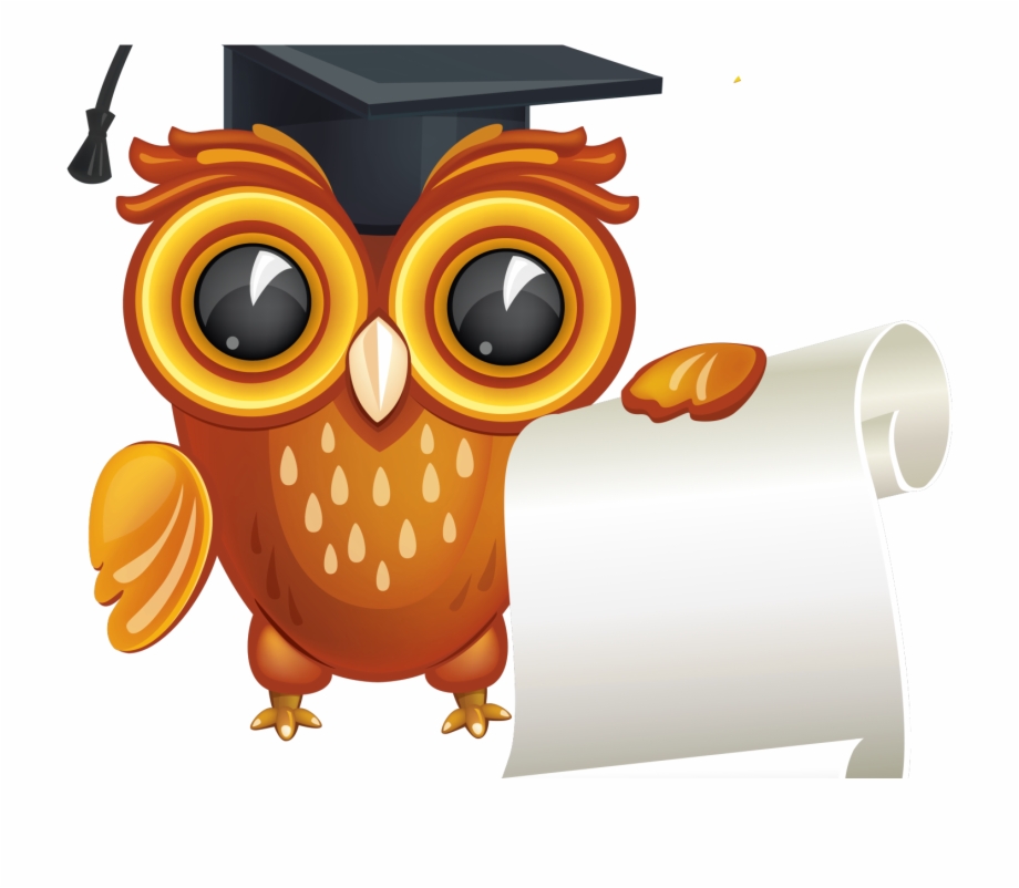 Graduation Owl Vector Png