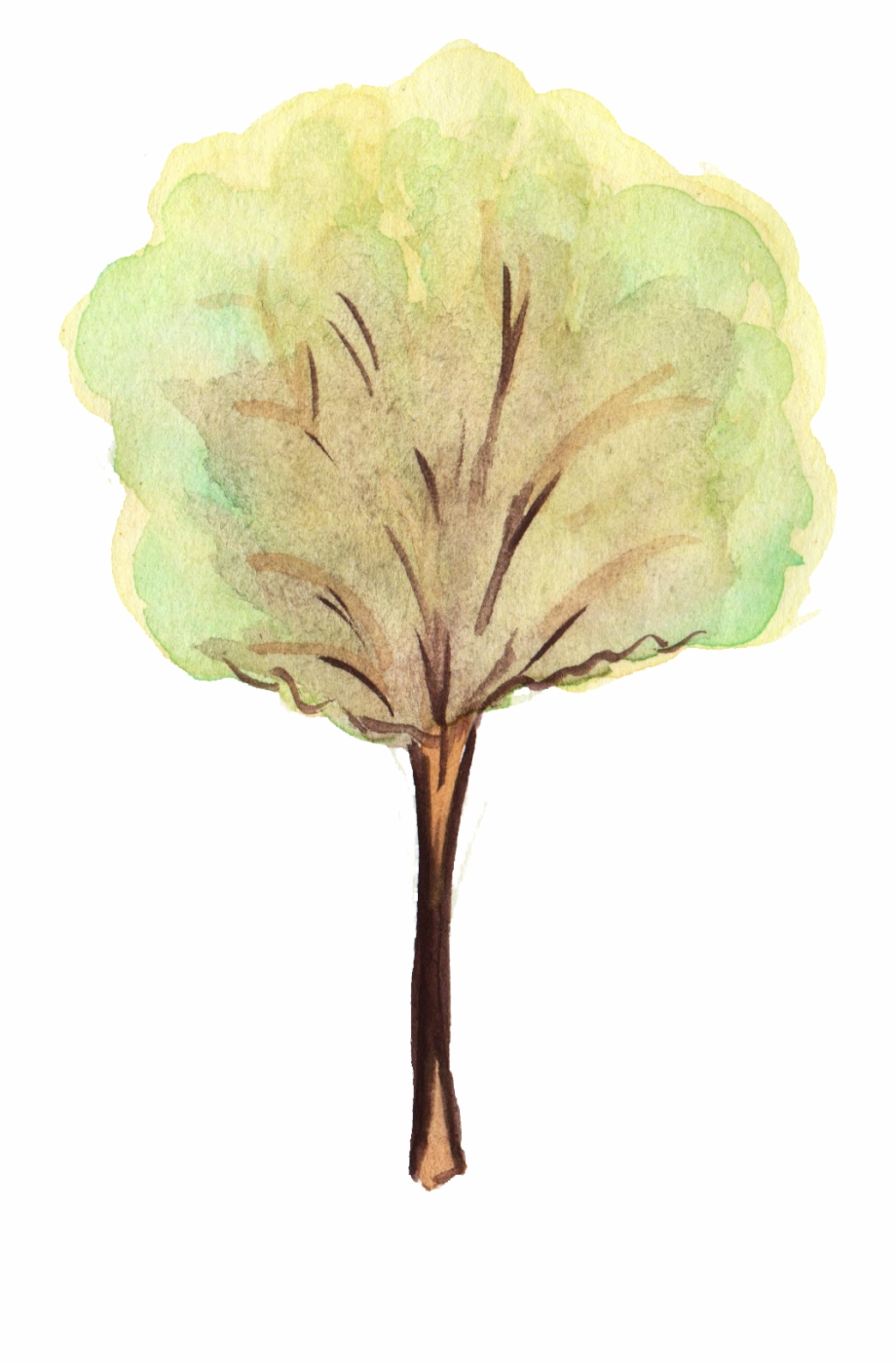 Free Download Png Water Color Tree