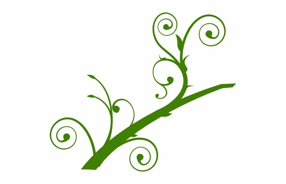 Collection Of Free Branch Vector Leaf Branch With