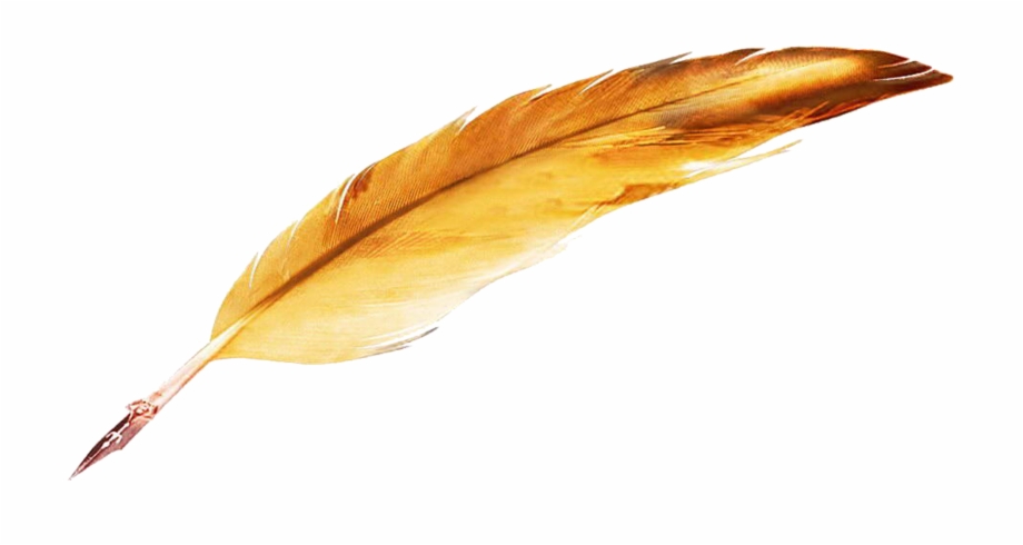 Quill Png