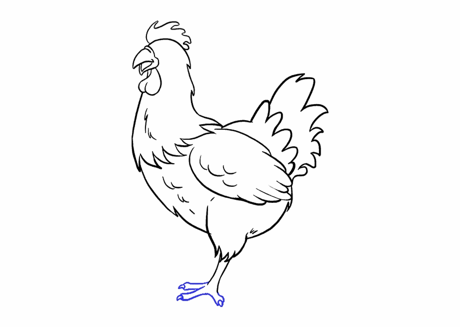 rooster cartoon drawing easy
