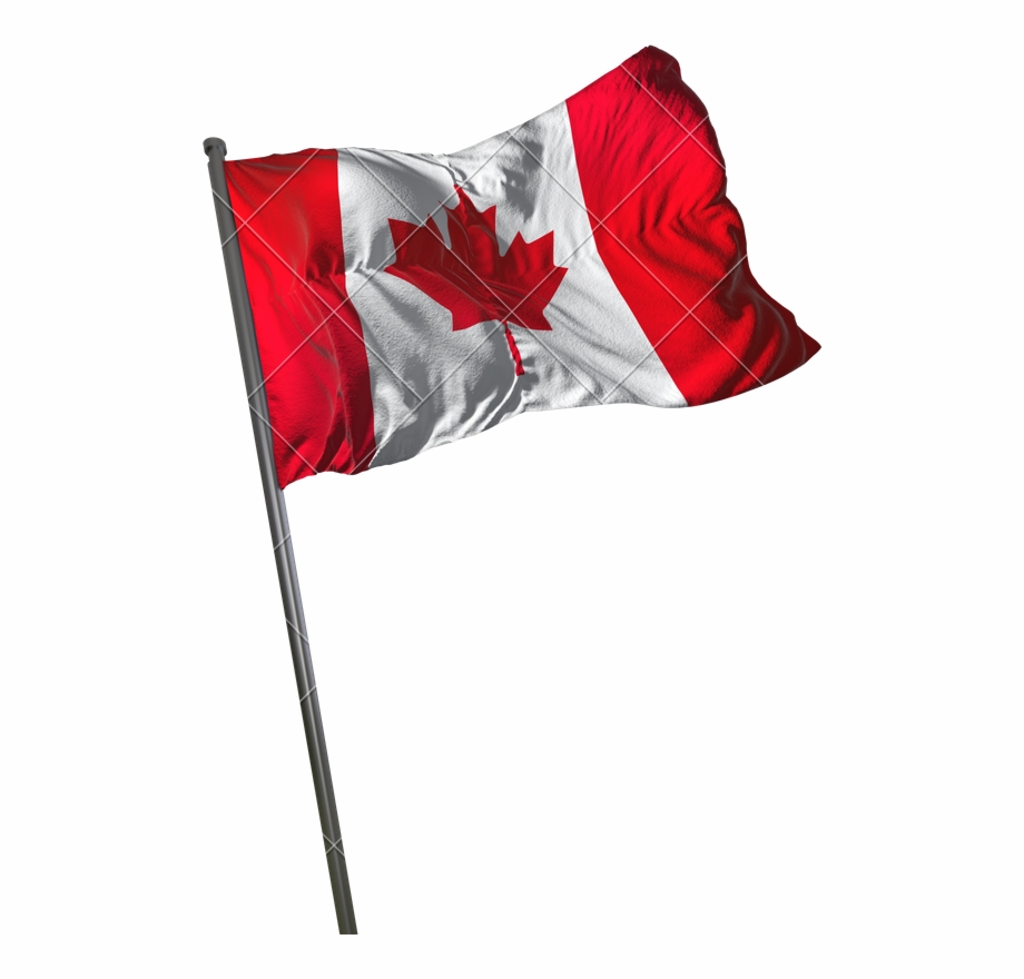 Canadian Flag Png Canadian Flag Transparent Background