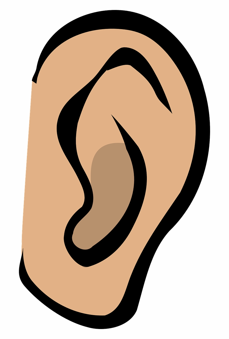 Ear Listen Hear Gossip Sound Whispering Secrets Clip