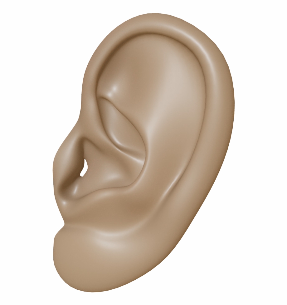 Ear Png Clipart Human Ear Transparent Background