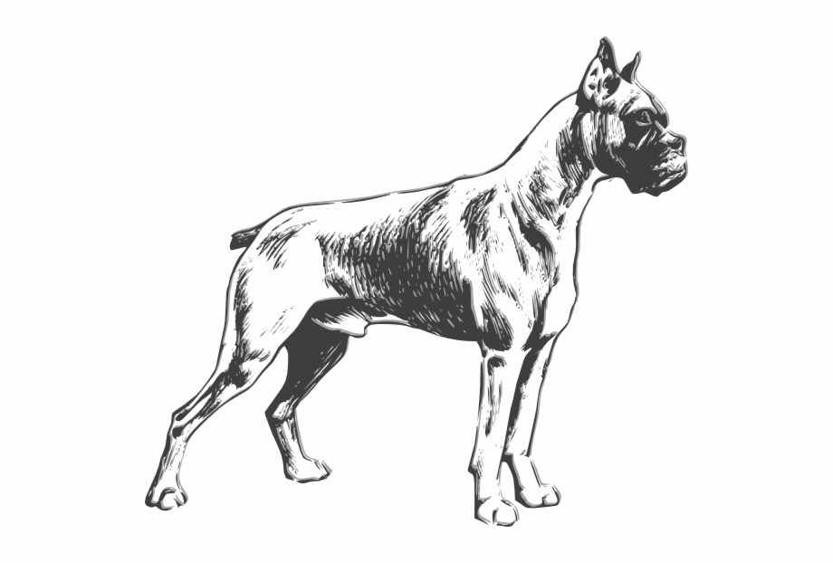 Jpg Royalty Free Boxer Dog Clipart Black And