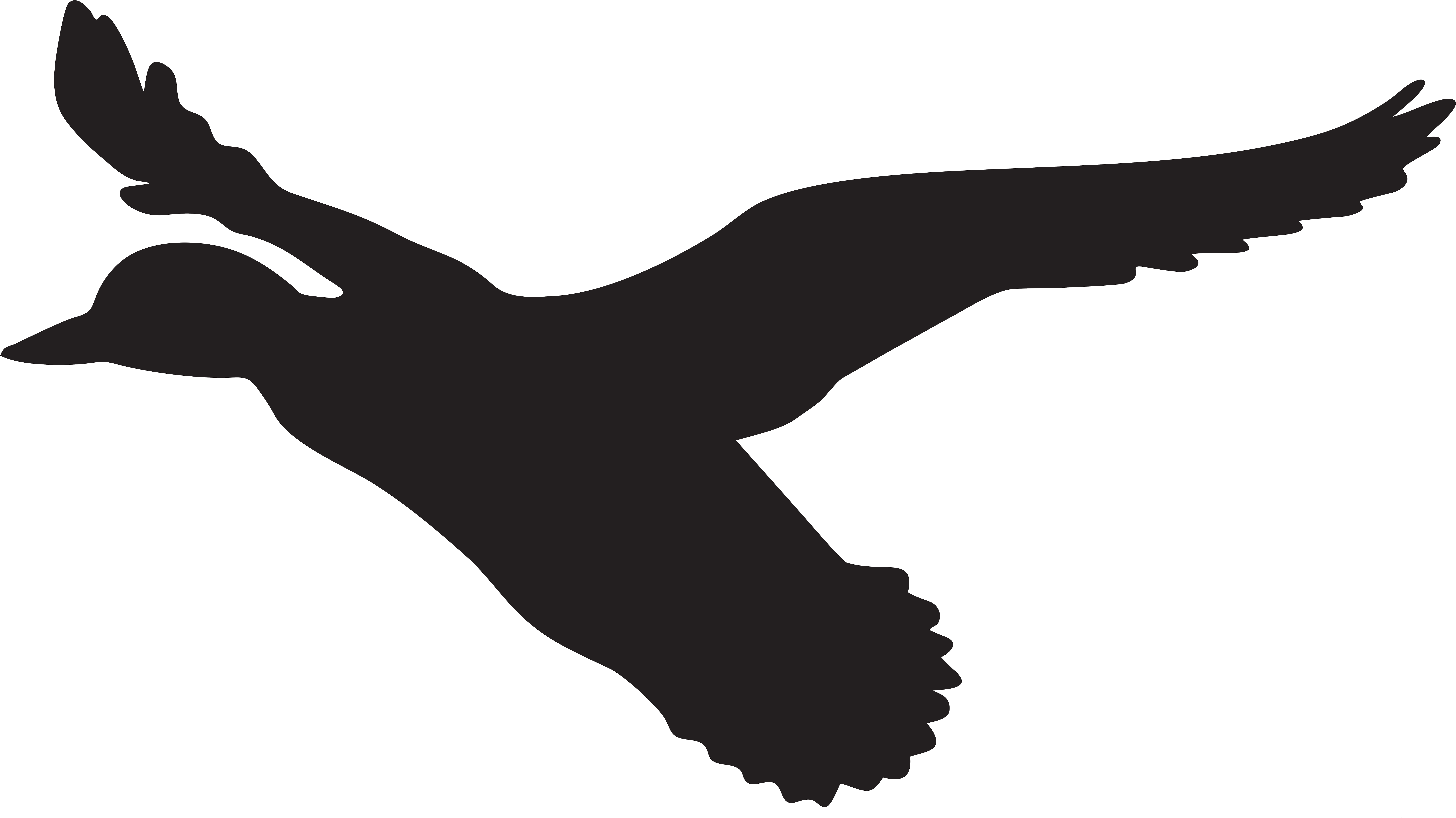 Flying Duck Silhouette Png Clip Art Imageu200b Gallery