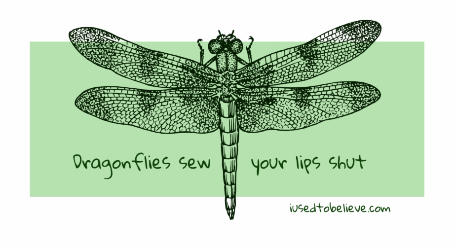 Dragonfly Drawing Black And White