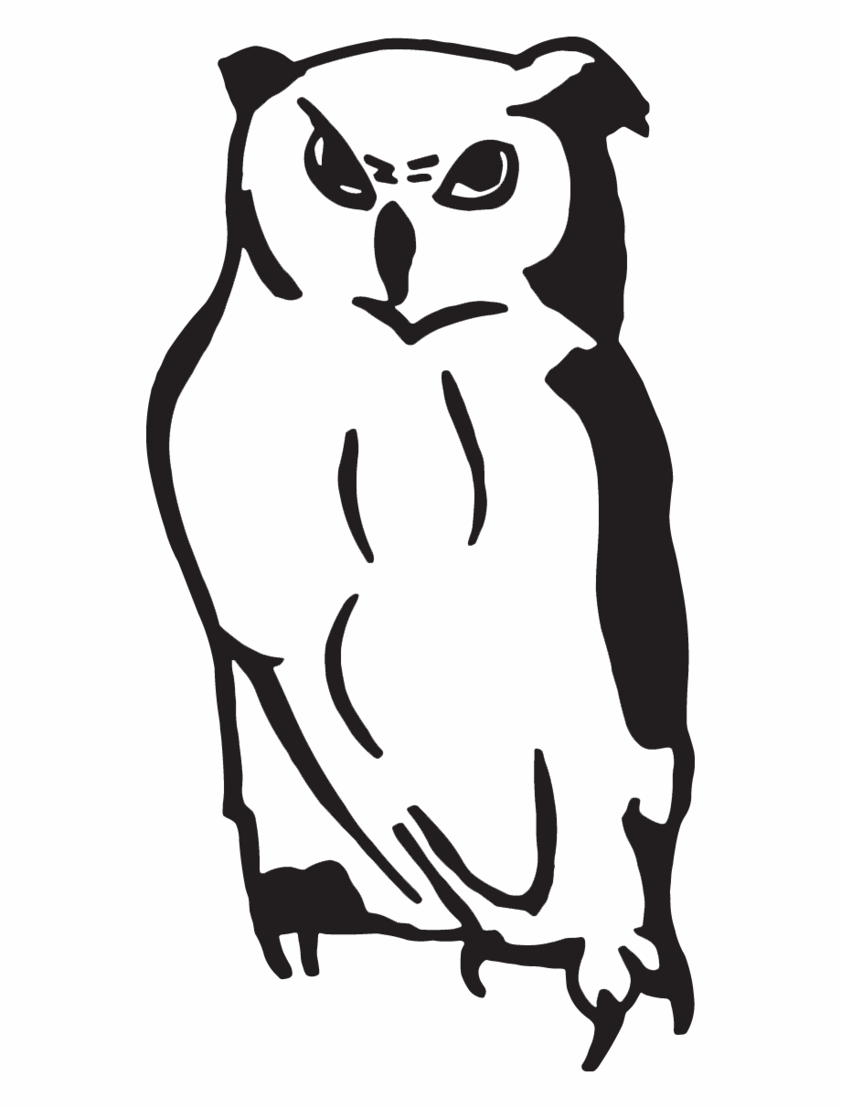 Barn Owl Decal
