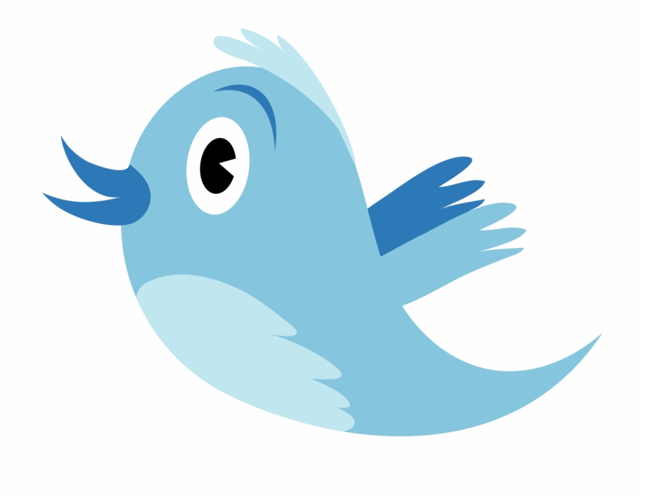 Twitter Logo Png Transparent Twitter Logo