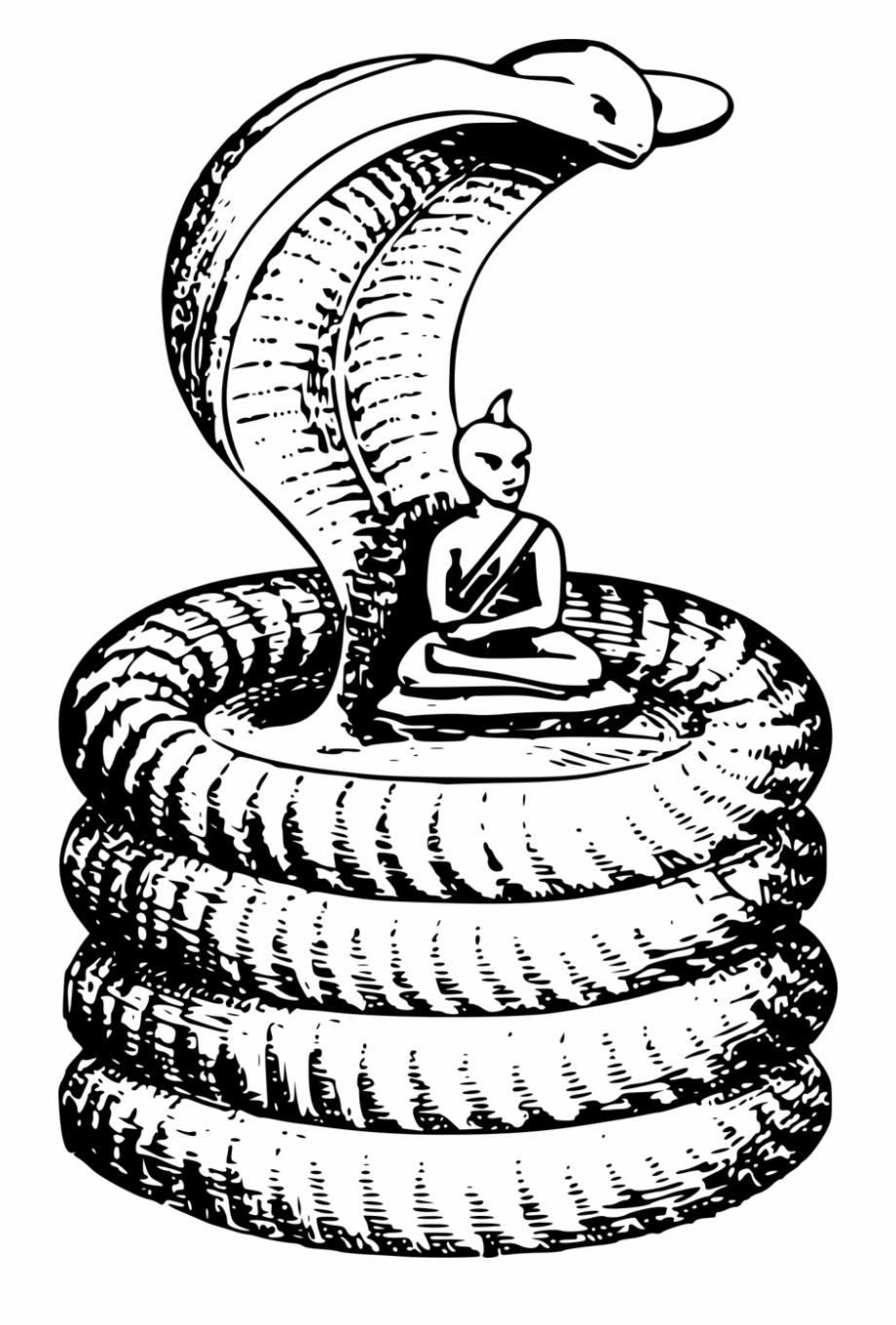Buddha Cobra Reptile Sage Snake Png Image Snake