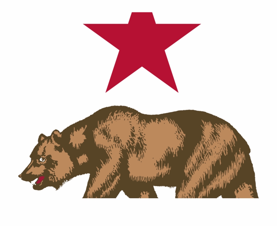 California Grizzly Bear Drawing
