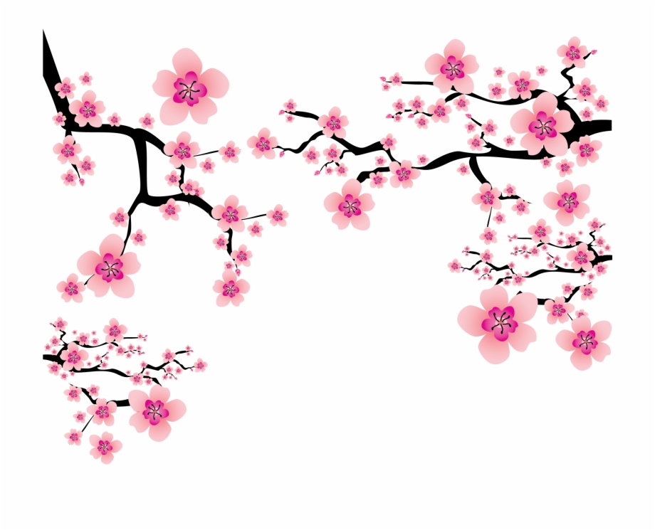 Cherry Blossom Plum Blossom Clip Art Transparent Sakura