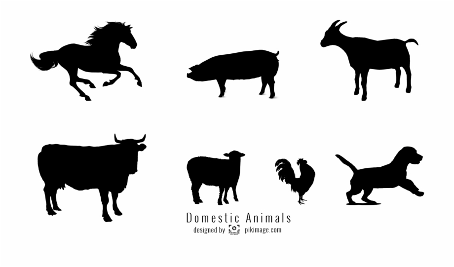 domestic animal animal silhouette
