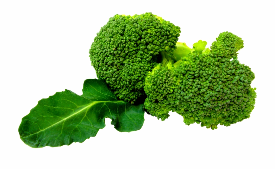 broccoli png
